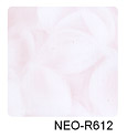 NEO_R612