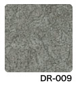 DR-009