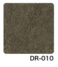 DR-010