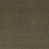DR013