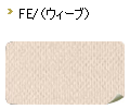 FE