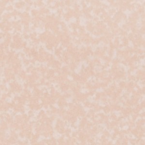 FLO-R698