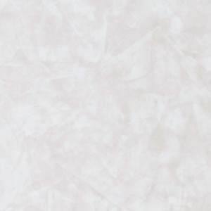 NEO-R411