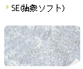 SE