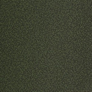 DR006